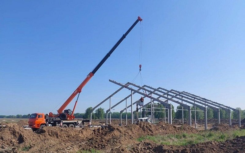 Калининградская область готовится к строительству крупнейшего молочного комплекса в России