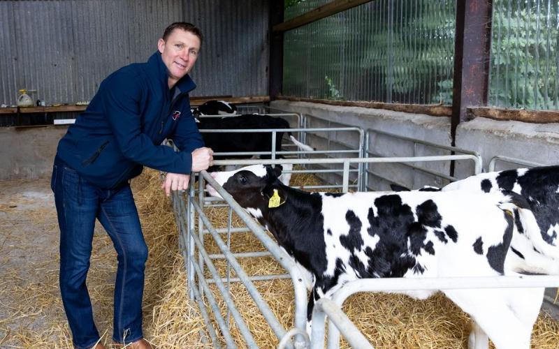 North American Genetics: The Secret to Ireland’s Champion Holsteins