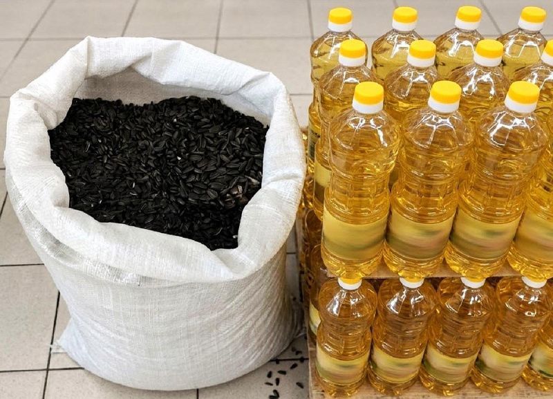 Российские экспортёры переходят с подсолнечника на поставки масла и шрота в Казахстан