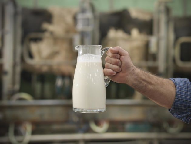 Lactalis Australia Multada por Prácticas Engañosas de Etiquetado de Leche