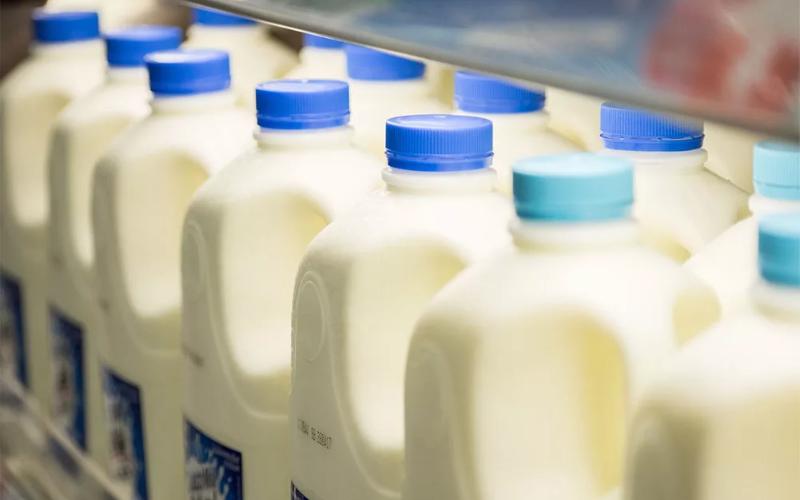 Stable Milk Prices in Ukraine Amid Global Market Challenges