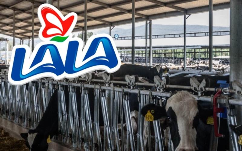 Grupo Lala ve Hino Motors, Çevre Dostu Süt Ürünleri Dağıtımını Geliştiriyor