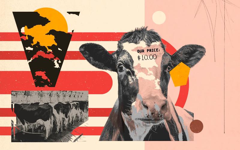 Intrusive Surveillance by the U.S. Meat Industry on Animal Rights Activists
