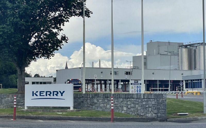 Kerry Dairy Ireland объявила цену на молоко за февраль