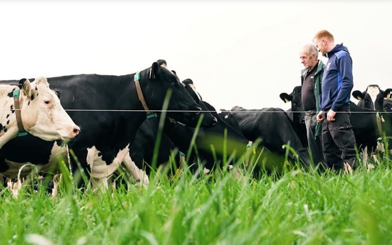 Innovative Dairy Practices Enhance Productivity in County Kerry