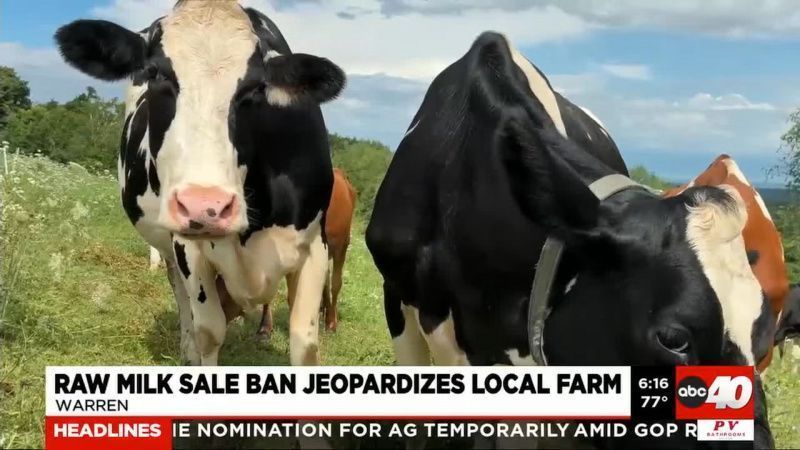 Massachusetts Dairy Farms Adapt to Survive Market Challenges