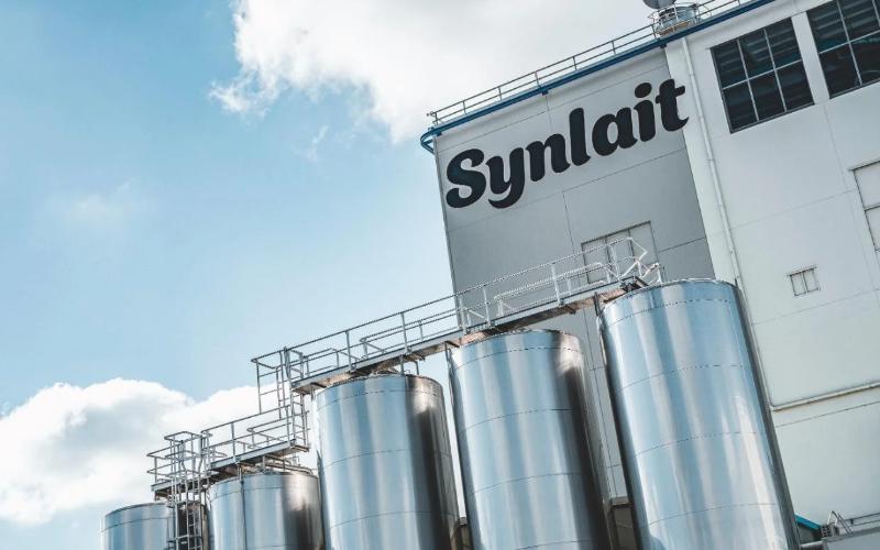 Synlait asegura una inyección de $217.8 millones para estabilizar sus operaciones