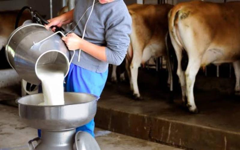 Ahome Çiftçileri, Liconsa Toplama Merkezi Kurulumu İçin İlerleme Kaydediyor