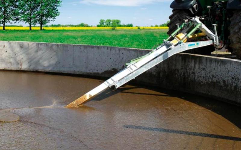 EcoPond Innovation Slashes Cow Methane Emissions by Over 90%