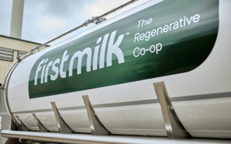 First Milk Maintains June Milk Price Amid High Production Levels