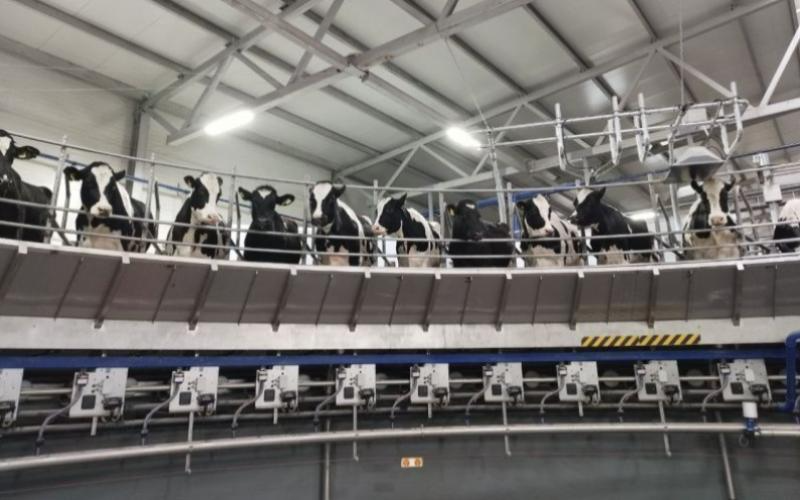 DeLaval has launched innovative equipment at the dairy farm "En-Dala"