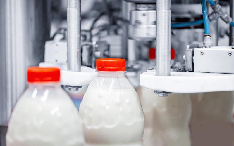 Olympus Foods invierte 7,5 millones de euros en la expansión de la planta láctea de Brașov