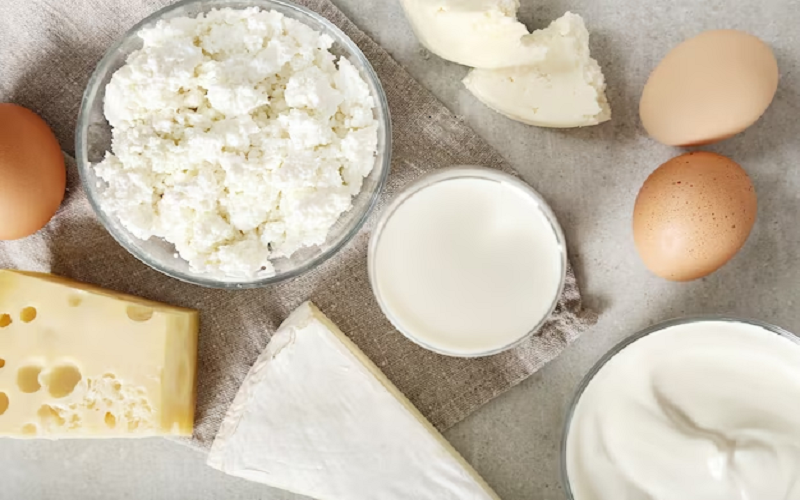 Kyrgyzstan increased its export of dairy products — 16,462 tons in the first five months of 2025