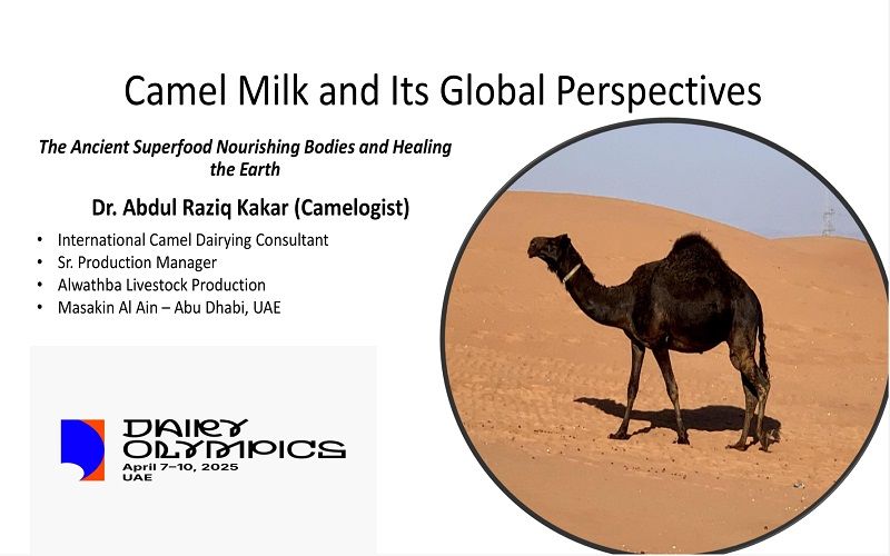 عرض تقديمي للبروفيسور الدكتور عبد الرازق كاكار، مستشار دولي في ألبان الإبل (الإمارات العربية المتحدة). أولمبياد الألبان 2025