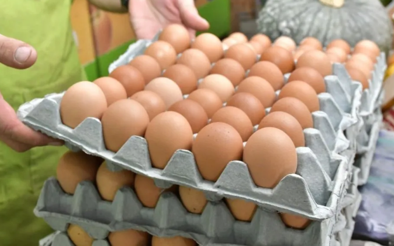 Record Egg Consumption Surpasses Milk in Argentina