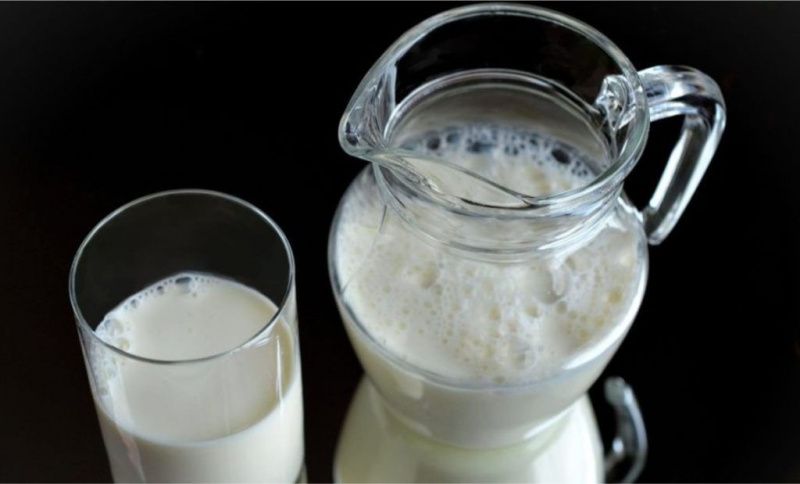 Patrocínio Sets Milk Production Record but Lacks Major Processing Plants