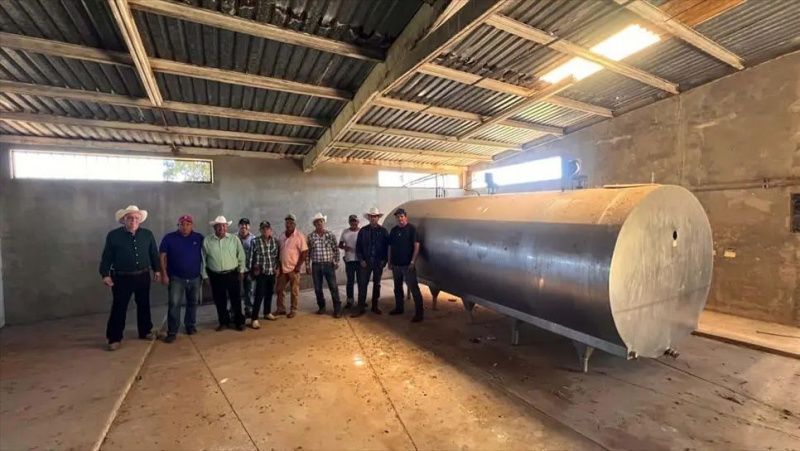 Mexican dairy farmers to receive up to 11.50 pesos per litre
