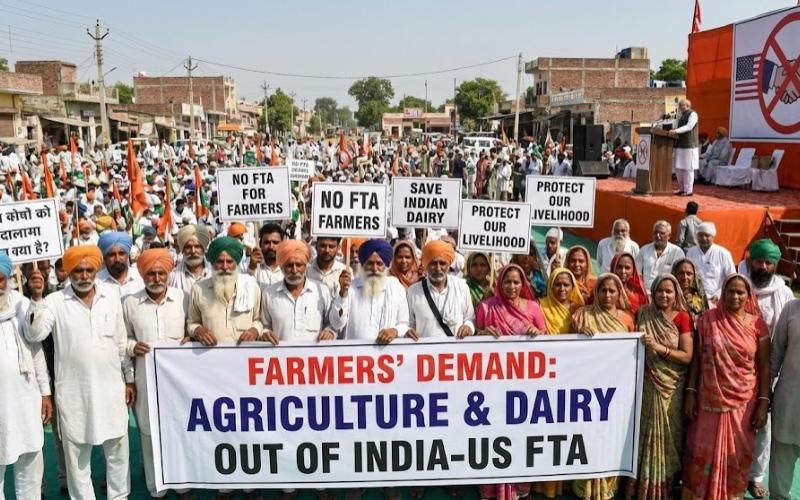 Indian Farmers Demand Exclusion of Dairy from India-US Trade Deal