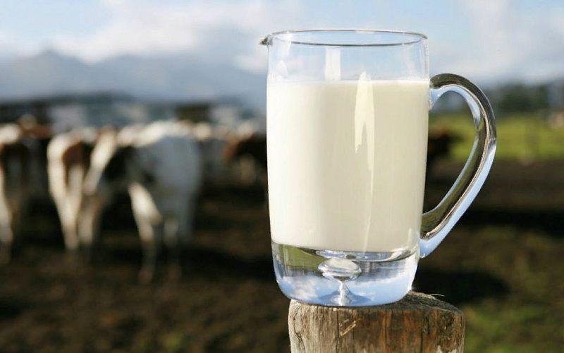 Производство товарного молока в России выросло на 1%, до 8,6 млн тонн