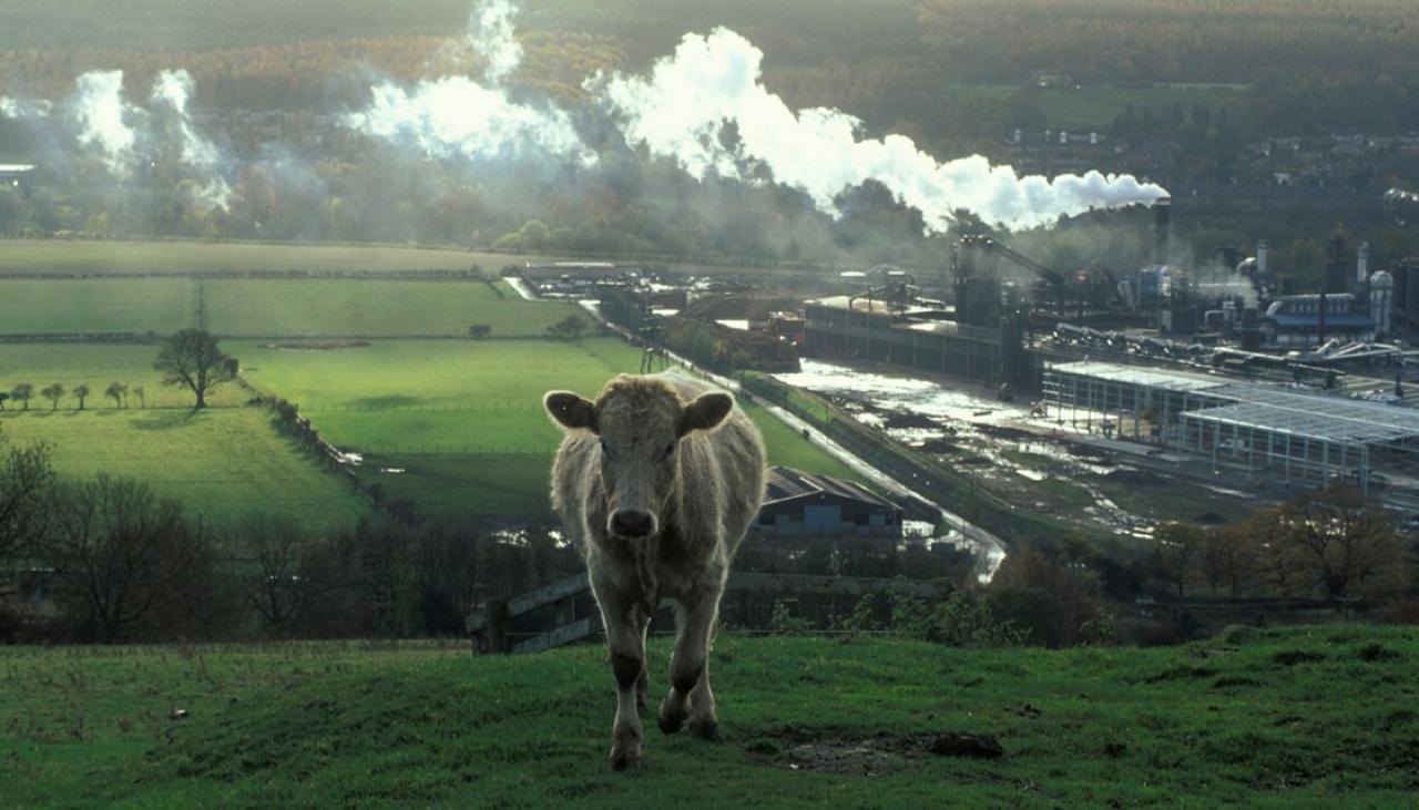 According to the Climate Commissioner, our present course will not enable us to reach our goals.