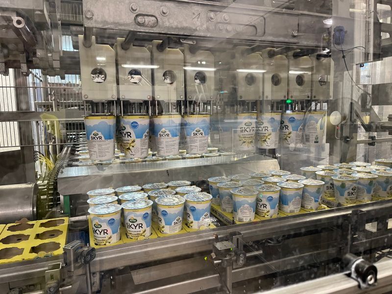 Arla Foods invests over €63m in skyr and cottage cheese capacity