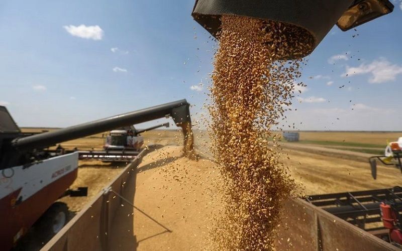 Казахстан заработал рекордную сумму на продажах пшеницы