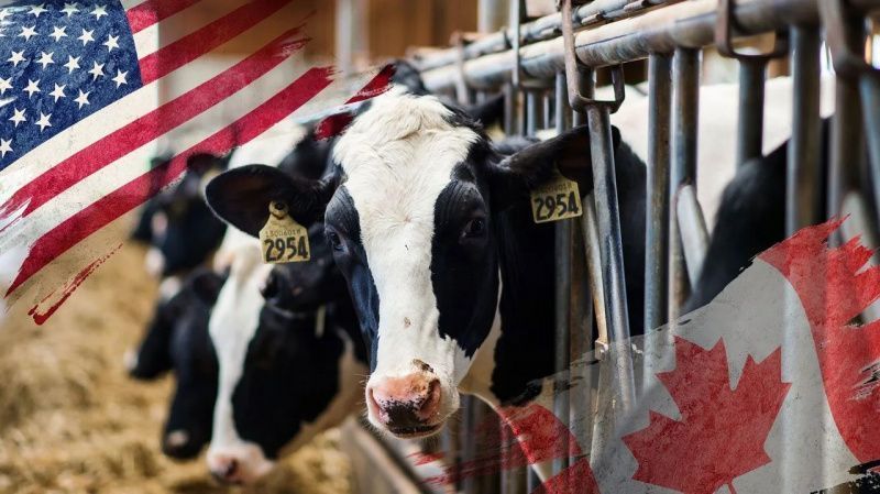 Canada Proposes Tariffs That Could Affect U.S. Dairy Shipments