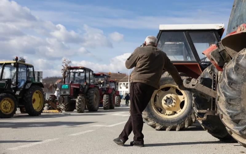 Serbian Farmers Demand Import Restrictions in Dairy Sector Protests