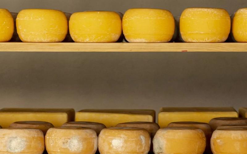Woodlands Dairy Group Acquires Ladismith Cheese to Expand South African Presence