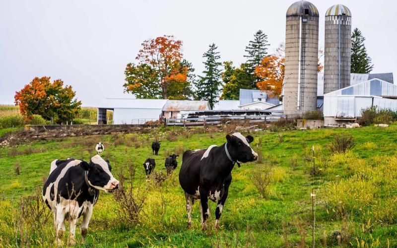 Impact of Foreign Ownership Restrictions on U.S. Dairy Farm Energy Projects