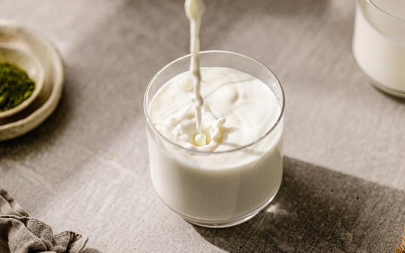 Gujarat Authorities Crack Down on Synthetic Milk Production