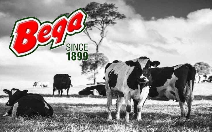 Bega Group объявила о закрытии молочного завода Betta в Берни, Тасмания