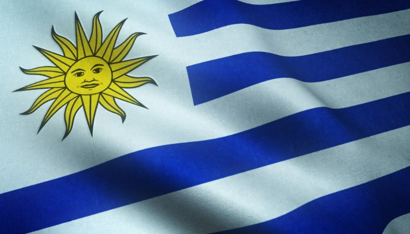 Uruguay Dairy Exports See Notable Decline in January