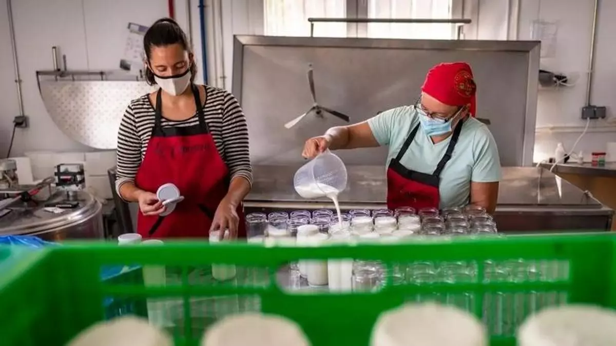 Spanish Firefighter Transitions to Artisan Cheesemaker