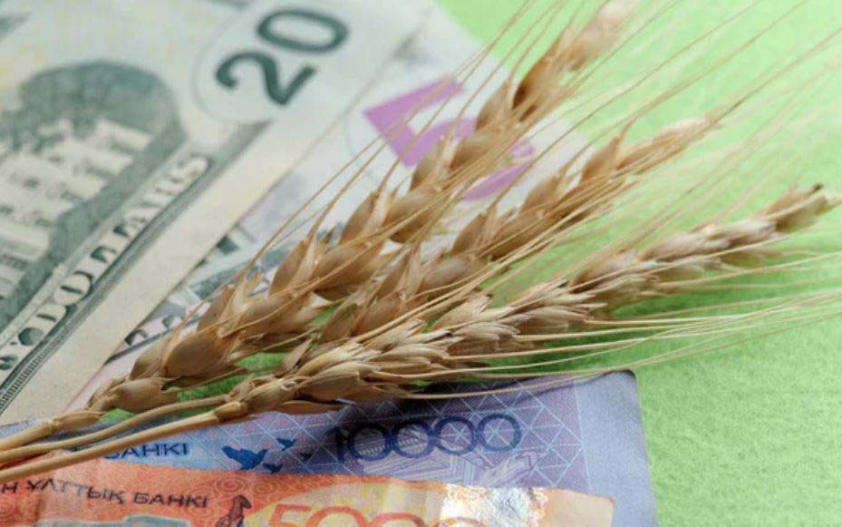 Мировые цены на пшеницу рухнули на 4%