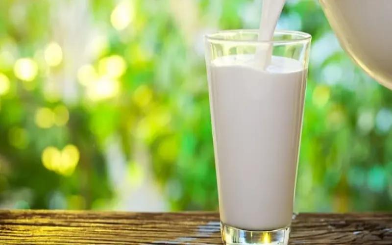 Madhya Pradesh Aims to Become India's Leading Milk-Producing State