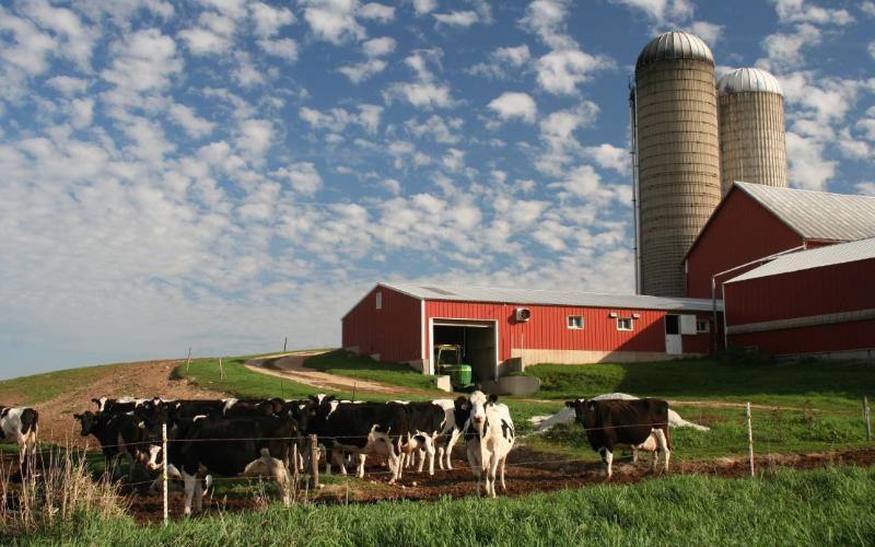 Global Dairy Industry Faces Urgent Call for Structural Reform