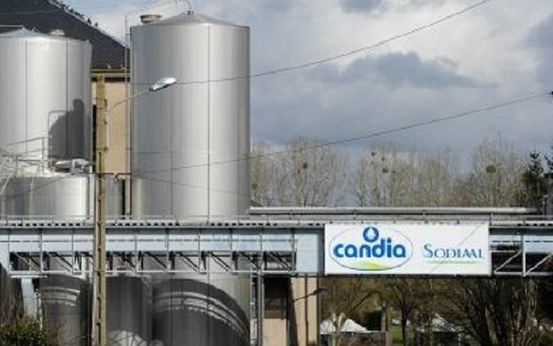 French Sodiaal Announces Closure of Malestroit Cheese Facility Amid Restructuring Plans