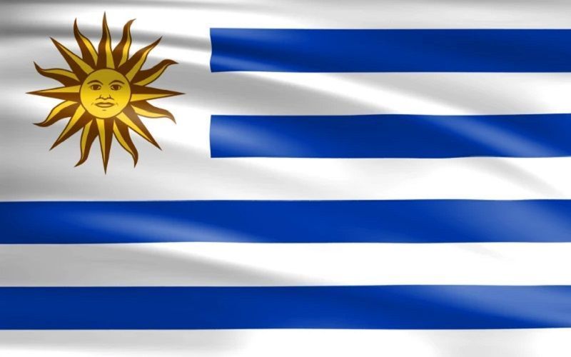 Transport Strike and Distribution Issues Impact Uruguayan Dairy Supply