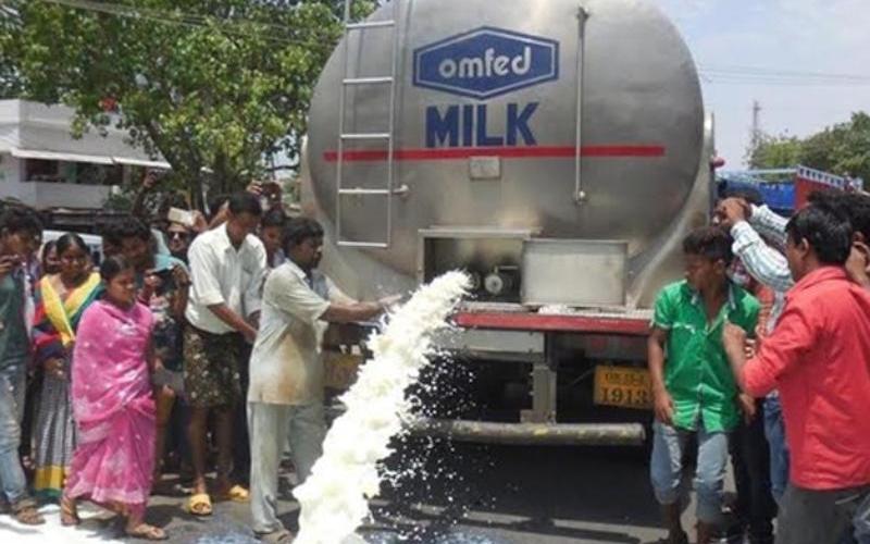 Los agricultores lecheros de Odisha protestan contra las políticas de OMFED, propiedad del estado
