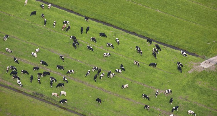 The field trial aimed at reducing methane emissions from effluent has been successful.