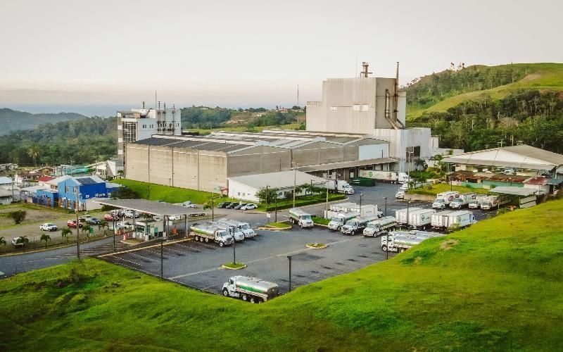 Сырный завод Dos Pinos в Коста-Рике перерабатывает 250 000 литров молока в день