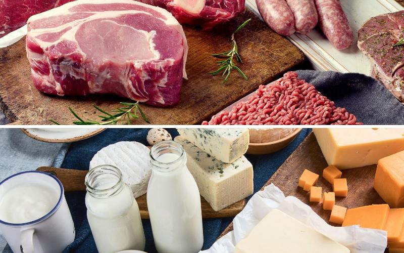 The Role of Dairy and Meat in Global Health and Nutrition