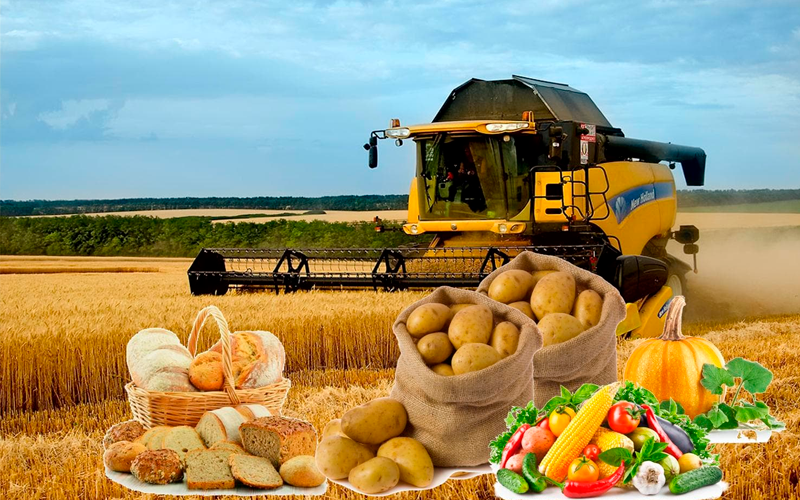 Удельный вес продукции животноводства в общем объеме сельхозпродукции в Андижанской области составил 36,7% Удельный вес продукции животноводства в общем объеме сельхозпродукции в Андижанской области составил 36,7%