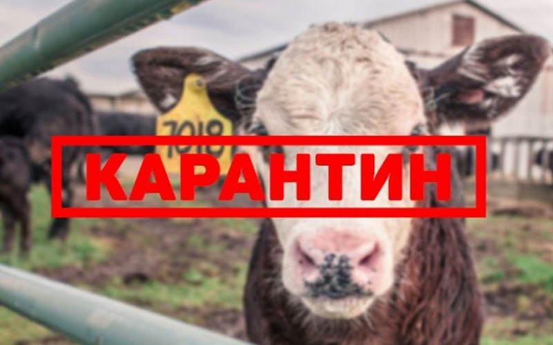 Карантин устанавливают в селах Карагандинской, Костанайской областей и ВКО Карантин устанавливают в селах Карагандинской, Костанайской областей и ВКО