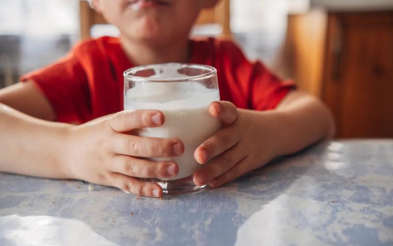Potential Reintroduction of Whole Milk in Schools Sparks Dairy Industry Interest