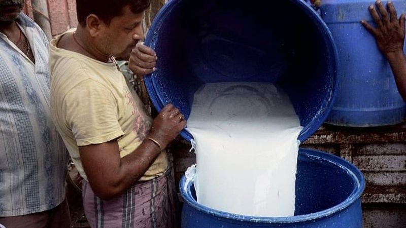 Protein Is Driving South India’s Next Dairy Growth