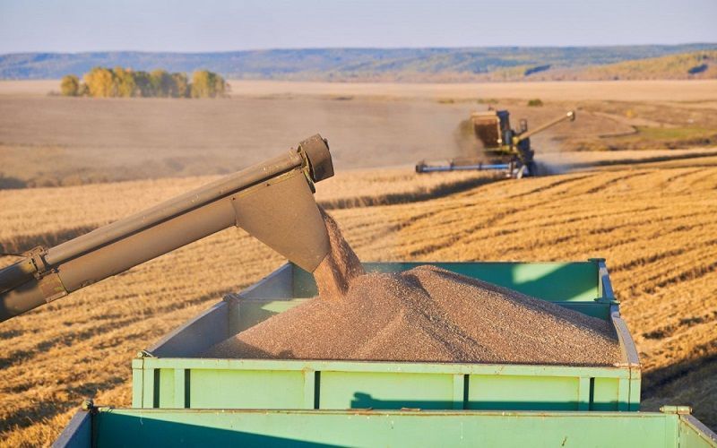Казахстан экспортировал 834 тысячи тонн пшеницы в 2022 году