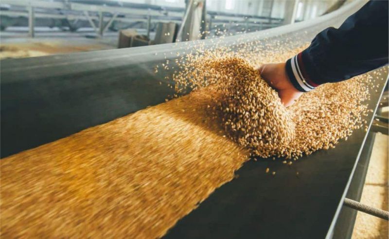 Los fabricantes de piensos evalúan el concentrado de proteína de soja ante el aumento de costes del suero de leche