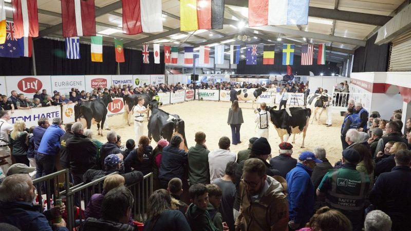 Boehringer Ingelheim Supports Healthier, More Productive Dairy Herds